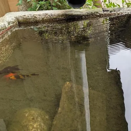 La Maison De * Pérouges