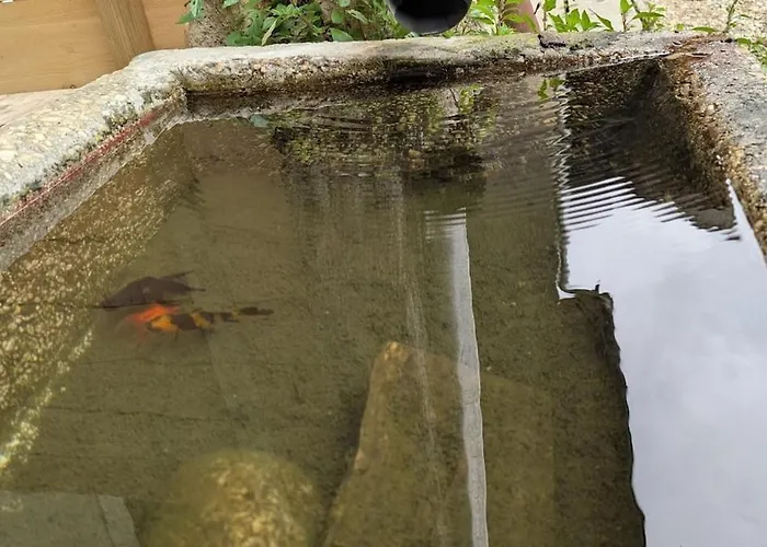 La Maison De * Pérouges